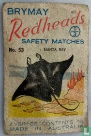 Manta ray