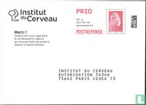 Brain Institute