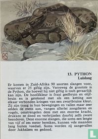 Python
