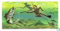 Spearguns