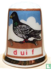 Duif