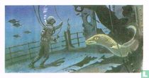 'Hard Hat' Diver