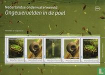Invertebrates in the pond