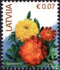 Ringelblume kaufen
