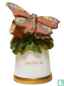 Inachis io