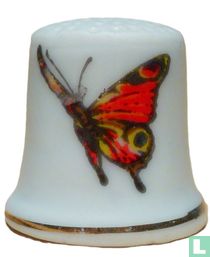 [Vlinder met oranje en oog]