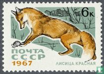 Fur Animals