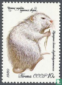 Animaux à fourrure acheter
