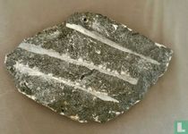 Orthoceras-fossiel in matrixmineraalmonster