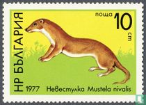 Wildlife