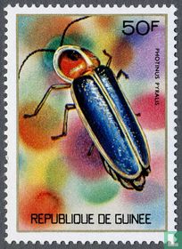 insects