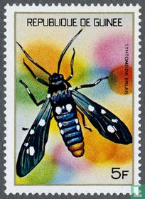 insects