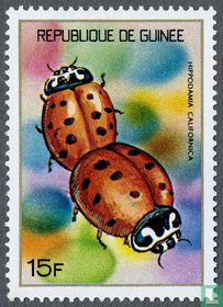insectes