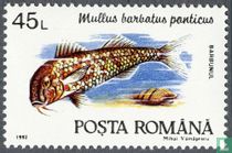 Poissons acheter