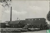 Steggerda, Zuivelfabriek "De Toekomst"