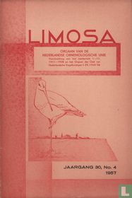 Limosa 4
