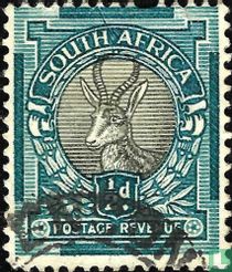 Springbok (English)