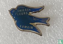 THIERRY FLEURS