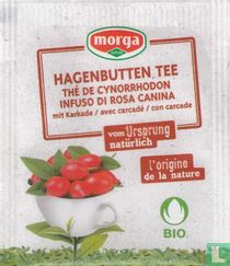 Hagebutten Tee