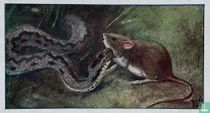 Adder