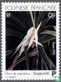 SINGAPORE ’95: Schraubenbaum
