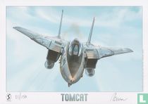 Tomcat