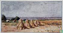 Hierde korenvelden