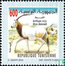 Faune et flore acheter