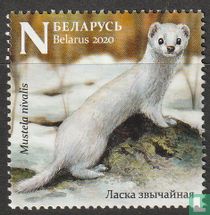 Fauna