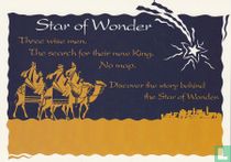 Adler Planetarium - Star of Wonder