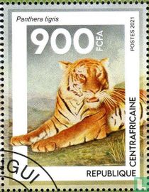 Tigers