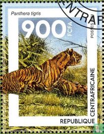 Tigers