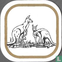 Dieren: Kangoeroes