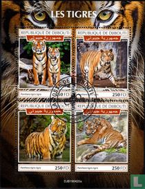 Tiger kaufen