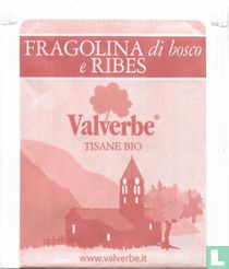 Fragolina di bosco e Ribes