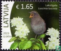 Oiseaux indigènes