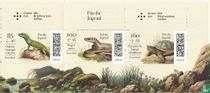Reptiles for sale