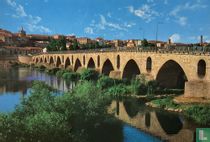 Zamora - Puente de Piedra y Rio Duero