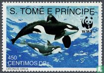 Mammifères marins