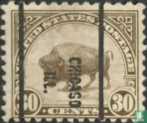 Bison d'Amérique du Nord