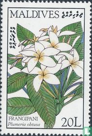 Des fleurs