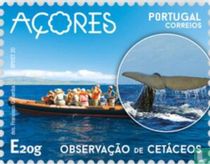 Tourisme aux Açores