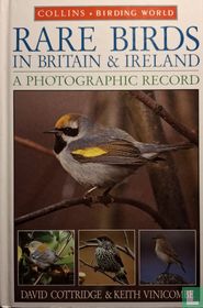 Rare Birds in Britain & Ireland