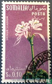 Fleurs