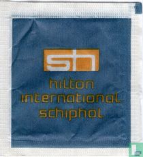 Hilton International Schiphol