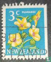 Puarangi