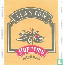 Llanten