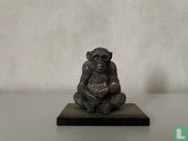 Chimpanzé