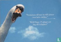 KLM / Euro 2000