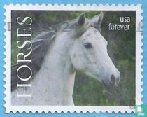 The horse